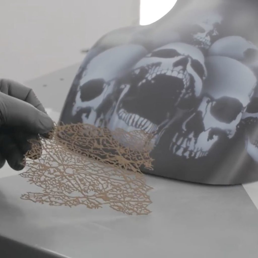 Texture Series Stencils - Reptile 1