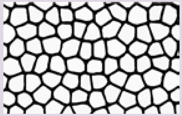 Texture Series Stencils - Reptile 1