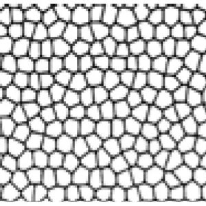 Texture Series Stencils - Reptile 2