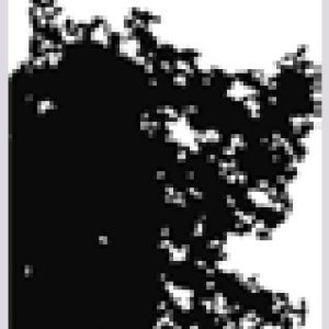 Texture Series Stencils - Roughy