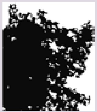 Texture Series Stencils - Roughy