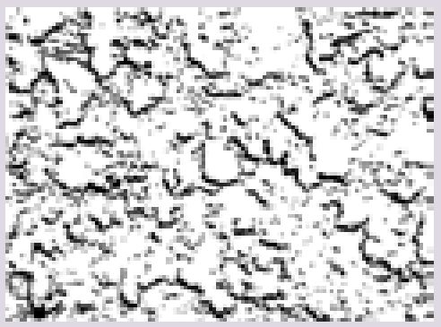 Texture Series Stencils - Stucco 1 Texture Series Stencils - Stucco