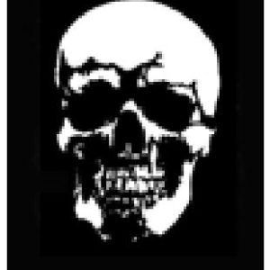Skull Series 1 Stencils - Pack 2