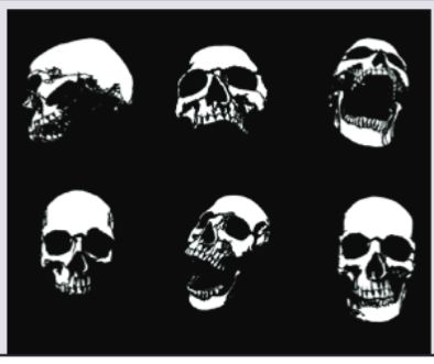 Skull Series 2 Stencils - Mega Pack 1 Skull Series 2 Stencils Mega Pack