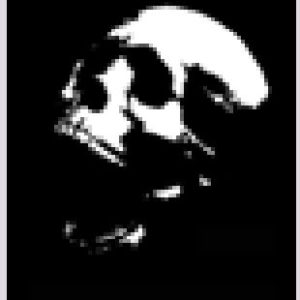 Skull Series 1 Stencils - Pack 5