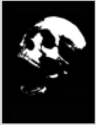 Skull Series 1 Stencils - Pack 5