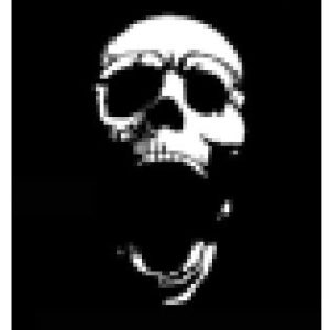 Skull Series 1 Stencils - Pack 6