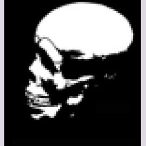 Skull Series 1 Stencils - Pack 7