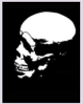 Skull Series 1 Stencils - Pack 7