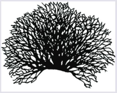 Fine Texture Series Stencils - Tree