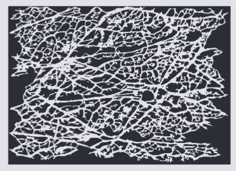 Fine Texture Series Stencils - Overgrown 1 Fine Texture Series Stencils - Overgrown