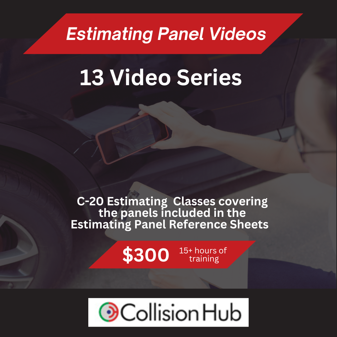 Estimating Panel Videos