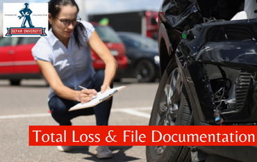 Shop Total Loss at Collision Hub